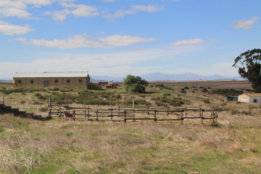 4 Bedroom Property for Sale in Hopefield Rural Western Cape